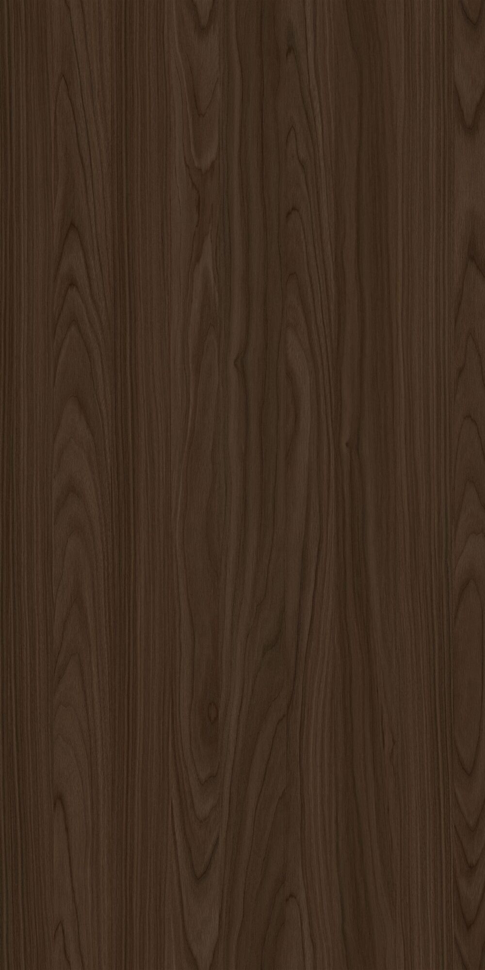 YDHTB1055 安科纳胡桃