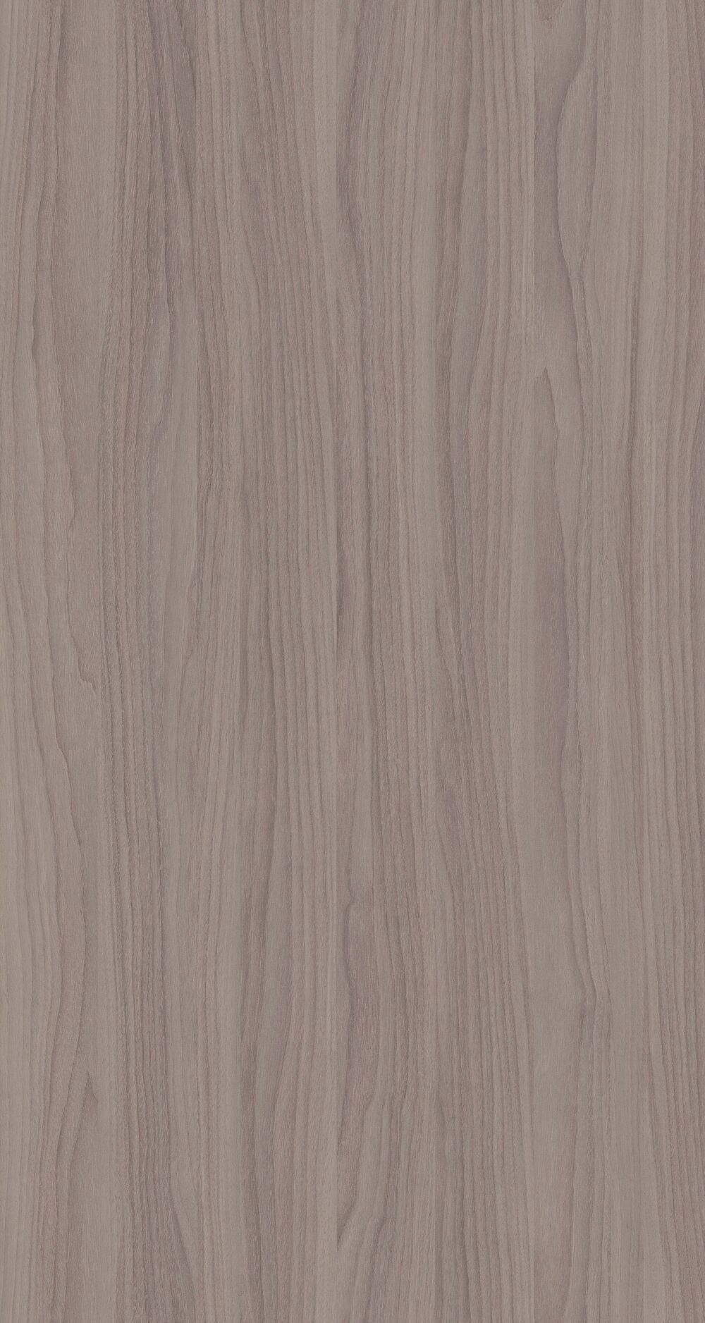 YDHTB1111  波特兰胡桃 