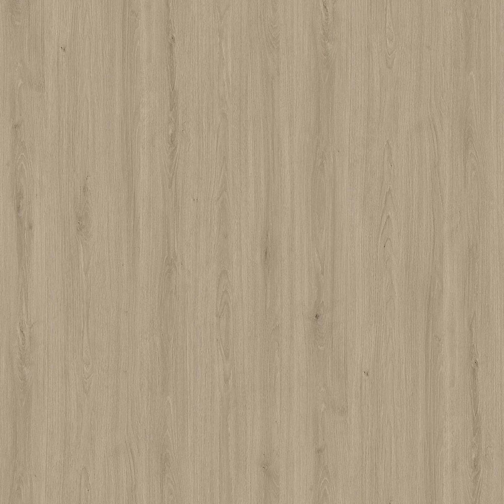 YDHTB1263高加索橡木