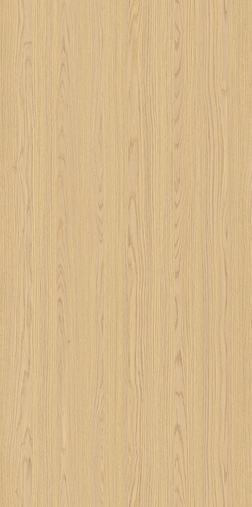 YDHTB1323  托莱多橡木